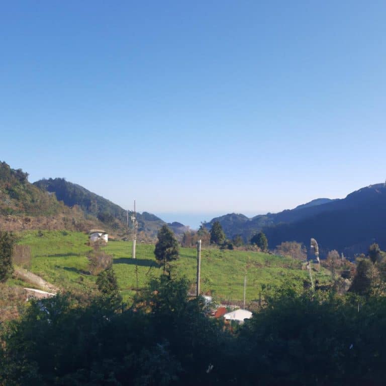 Baskasinin Ruyasina Girmek