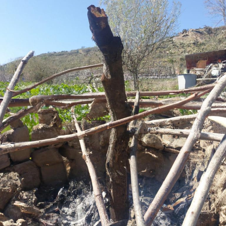 Bir Ruya Icin Agit Izle