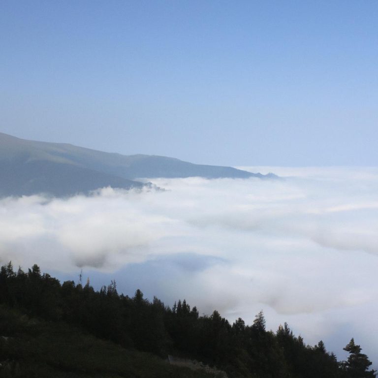 Can Bonomo Ruyamda Buluttum