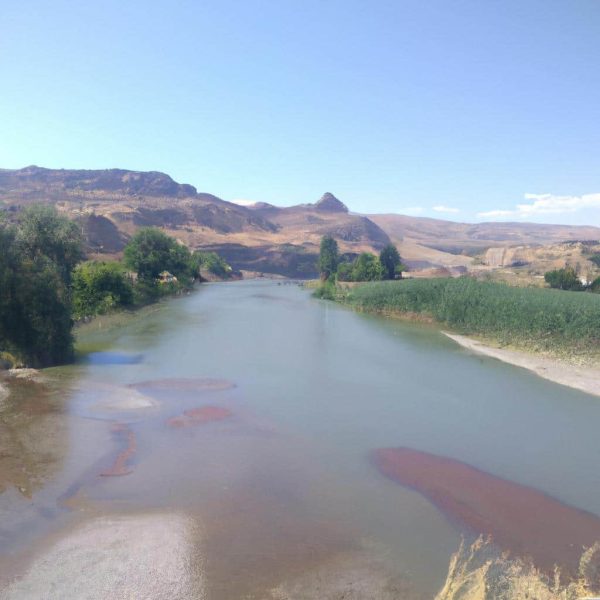 Emel Sayin Ruyalar Gercek Olsa