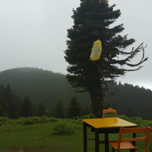 Olen Birini Ruyada Gormek