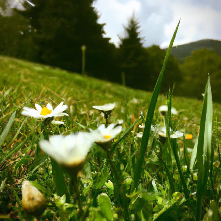 Olen Kisiyi Ruyada Gormek