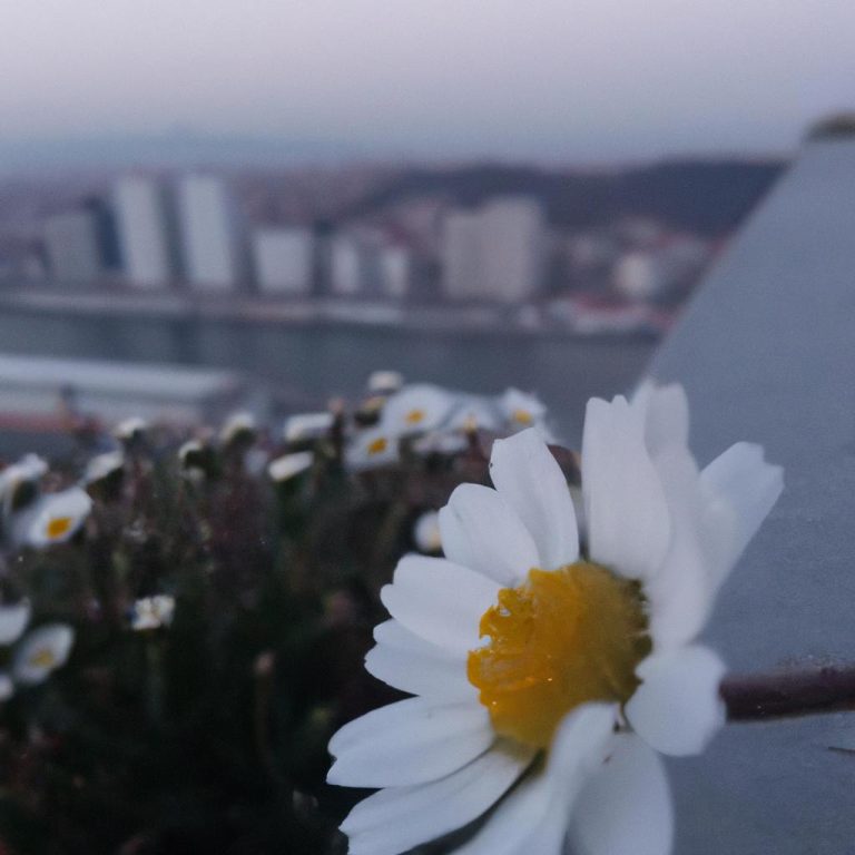 Olmus Anneyi Ruyada Sag Gormek