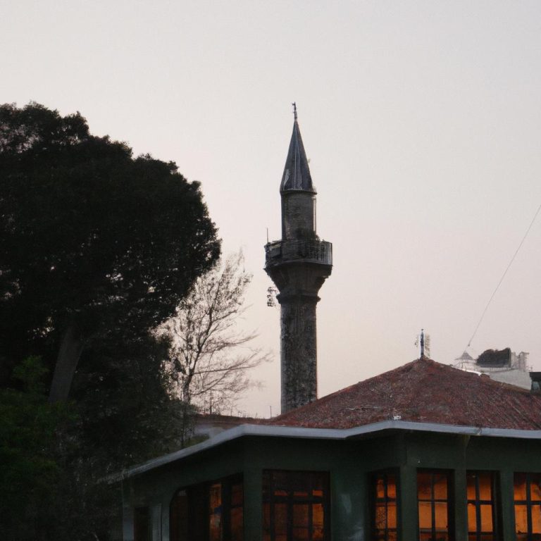 Olmus Birini Ruyada Gormek