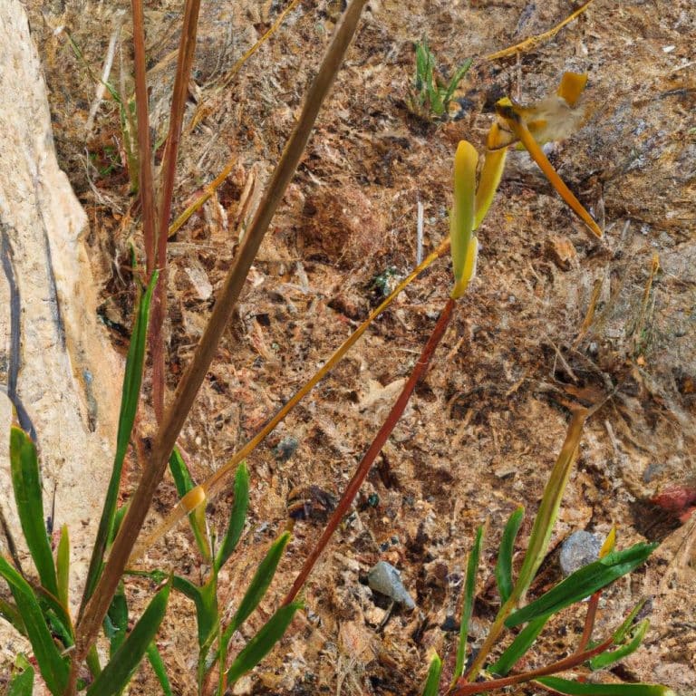 Orucluyken Ruyada Bosalirsak Oruc Bozulur Mu