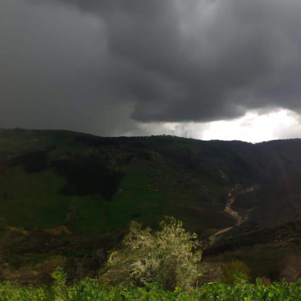 Ruya Gormeden Ihtilam Olmak