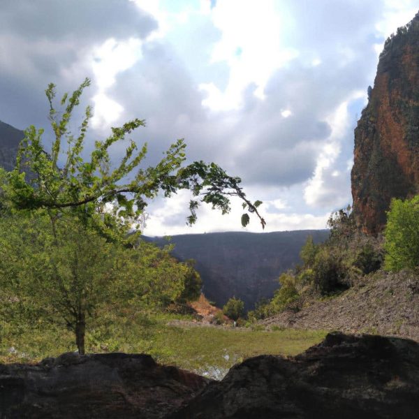 Ruyada Abdest Aldigini Gormek