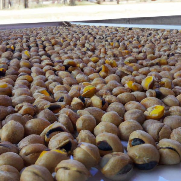 Ruyada Abdest Almaya Calismak