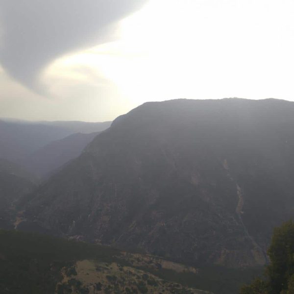 Ruyada Abisinin Oldugunu Gormek