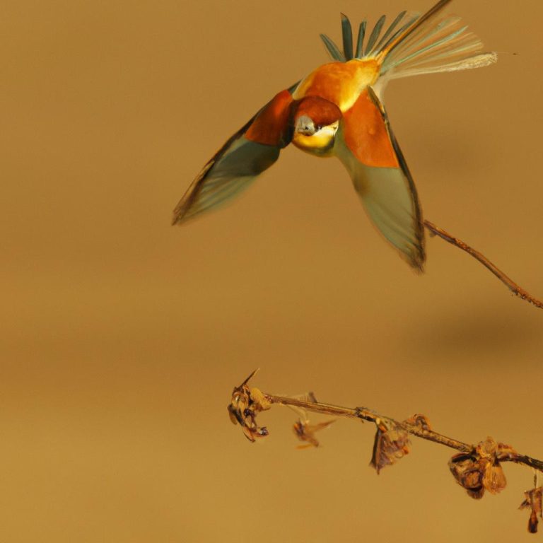 Ruyada Ablayla Tartismak