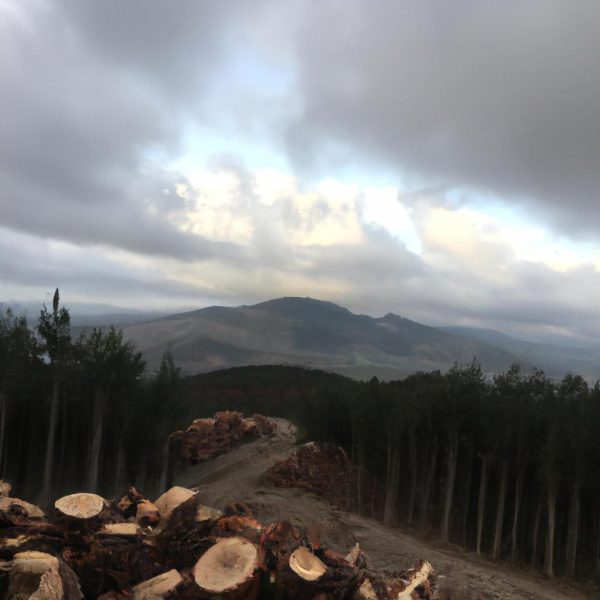 Ruyada Agzindan Kil Cikarmak