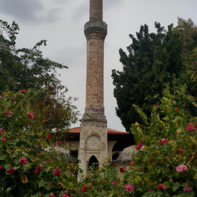 Ruyada Ahududu Gormek