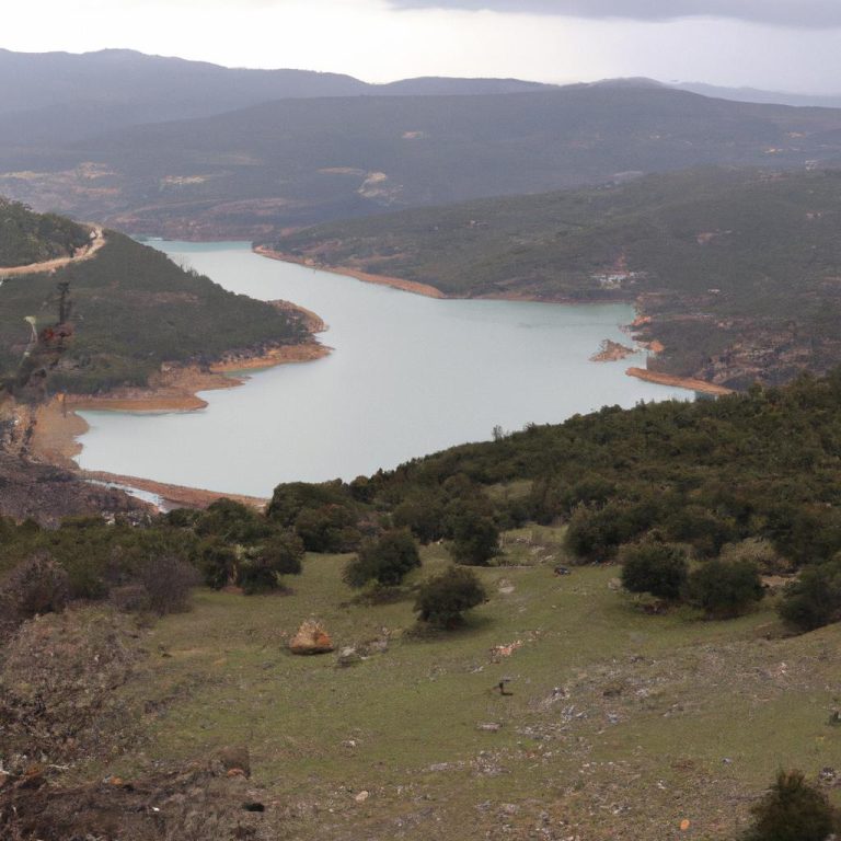 Ruyada Akraba Ile Kavga Etmek