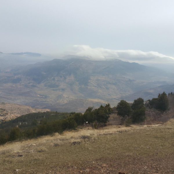 Ruyada Akrabalari Gormek