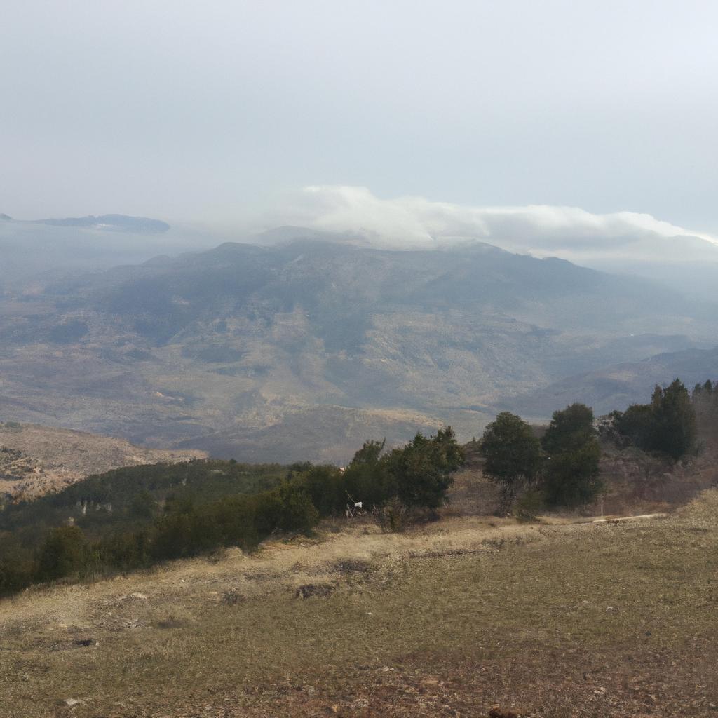 Ruyada Akrabalari Gormek