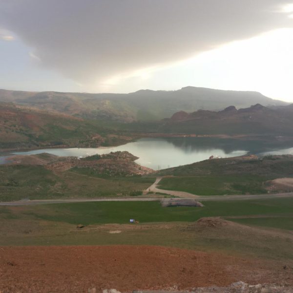 Ruyada Akrep Isirmasi