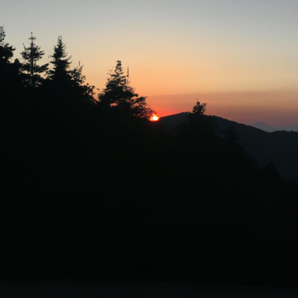 Ruyada Aldatilmak Ne Demek