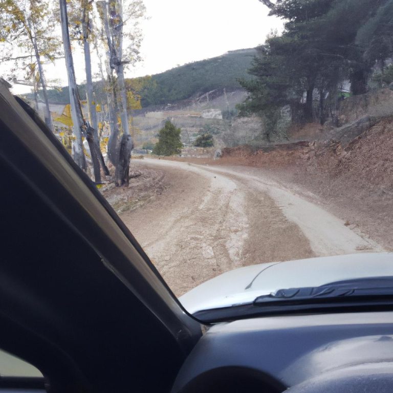 Ruyada Alisverise Gitmek