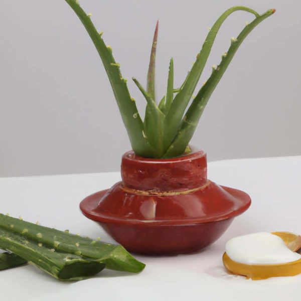 Ruyada Aloe Vera Gormek Diyanet