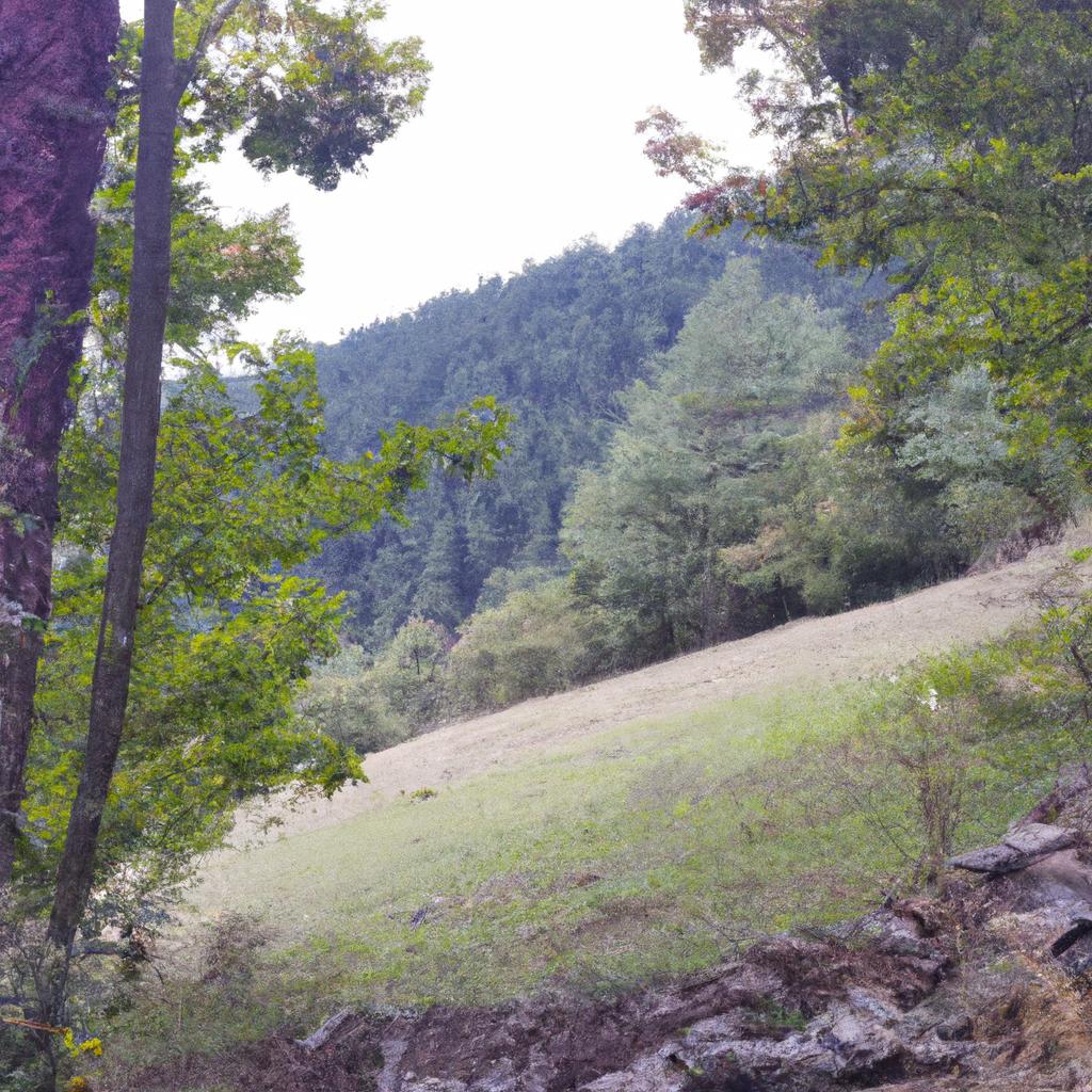 Ruyada Alt Disin Dusmesi