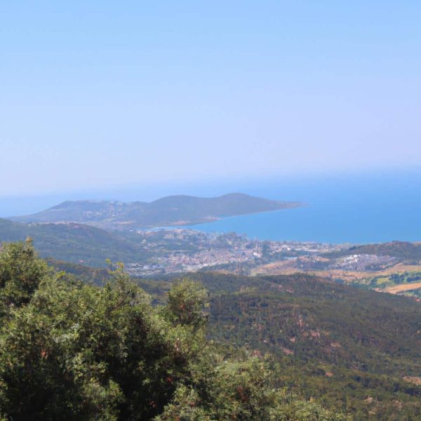 Ruyada Altin Alyans Gormek