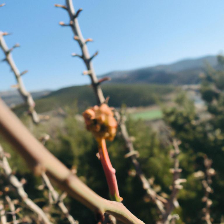 Ruyada Altin Bilezik Taktigini Gormek
