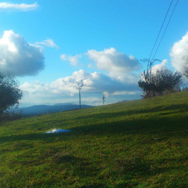 Ruyada Altin Kaybetmek