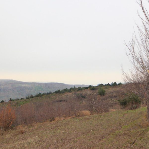 Ruyada Altin Para Bulmak