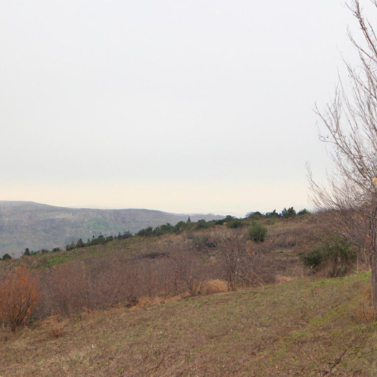 Ruyada Altin Para Bulmak