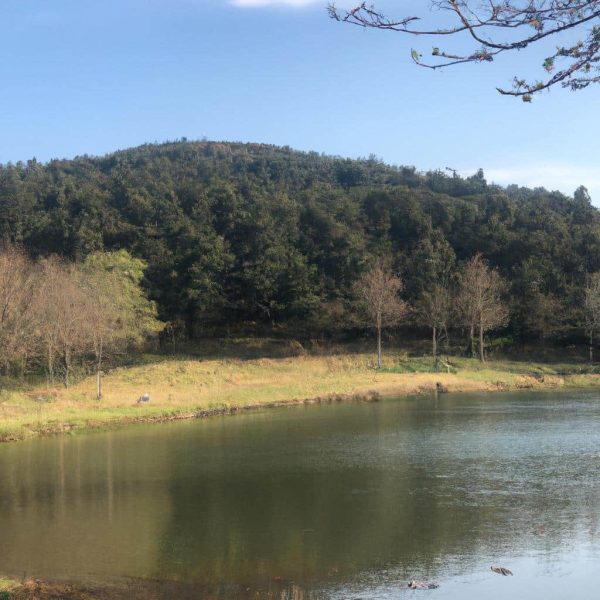 Ruyada Altin Taki Gormek