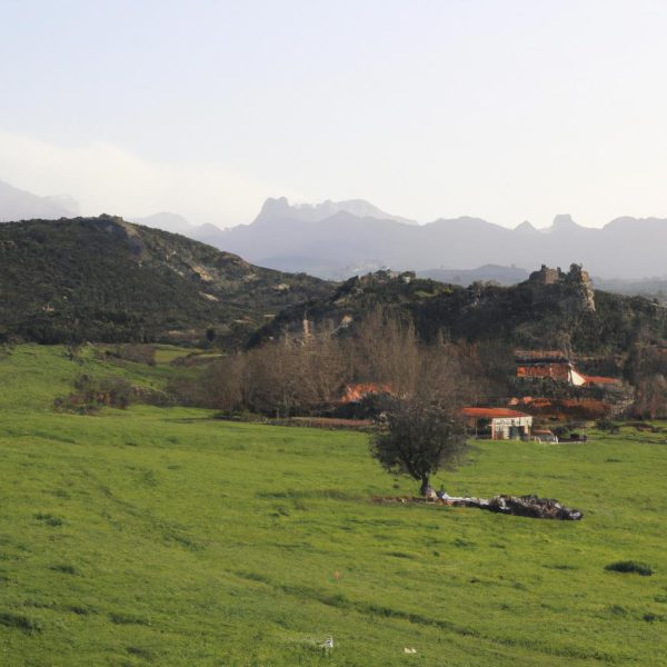 Ruyada Alyans Kaybetmek