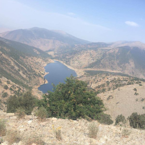 Ruyada Alyans Takmak