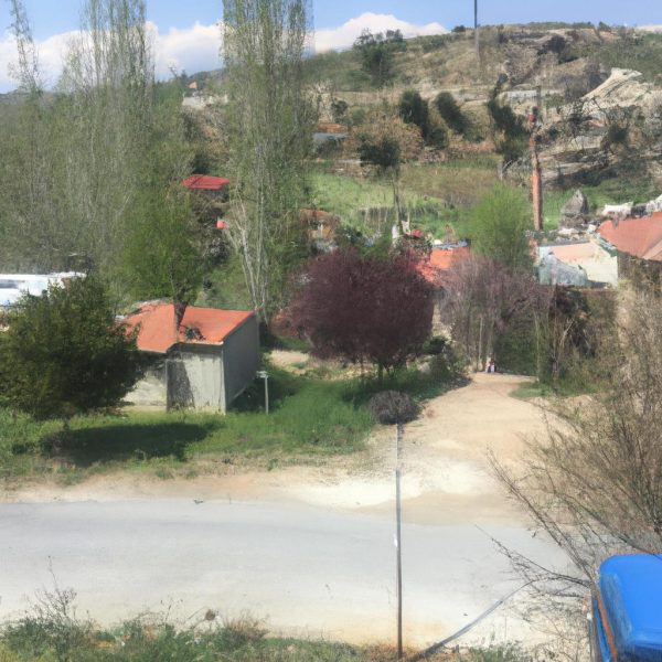 Ruyada Amcamin Oldugunu Gormek