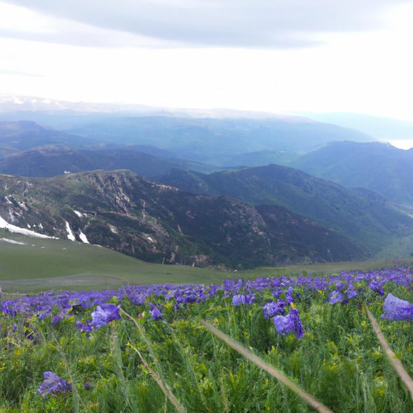 Ruyada Ameliyata Hazirlanmak