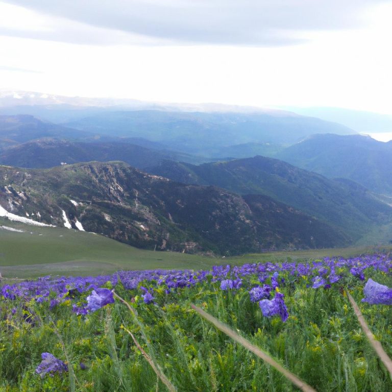 Ruyada Ameliyata Hazirlanmak