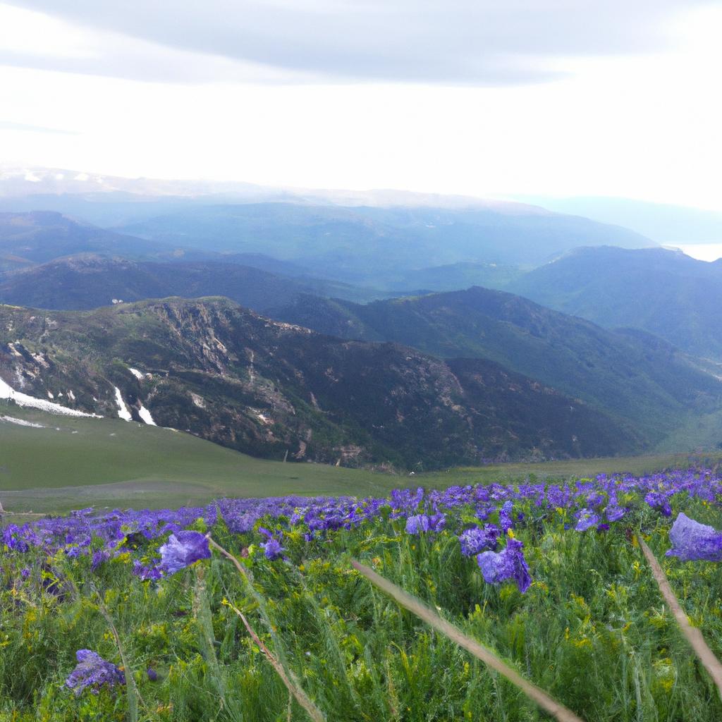 Ruyada Ameliyata Hazirlanmak