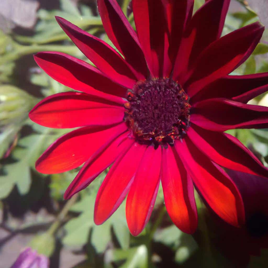 Ruyada Annenin Agladigini Gormek