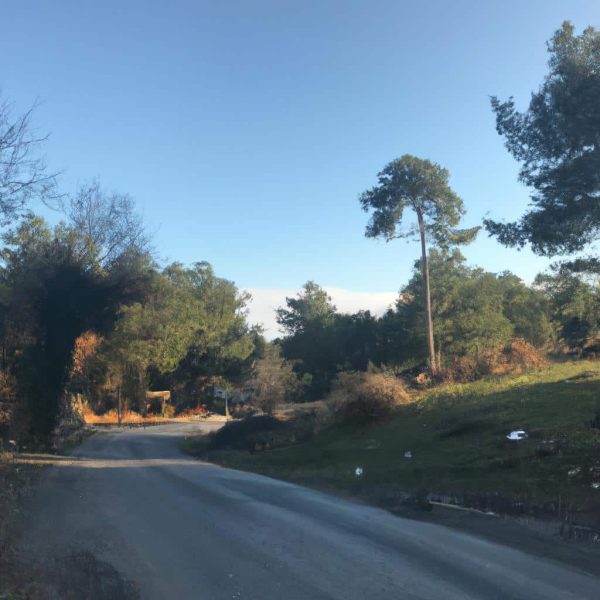 Ruyada Anneyi Aglarken Gormek