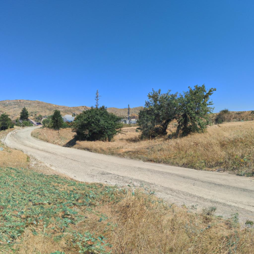 Ruyada Araba Kazasi Yapan Birini Gormek Diyanet