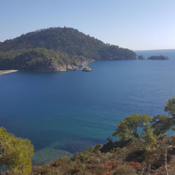 Ruyada Arabayla Denize Dusmek