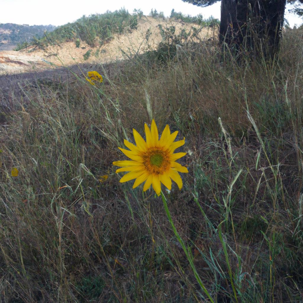 Ruyada Arkadasa Sarilmak