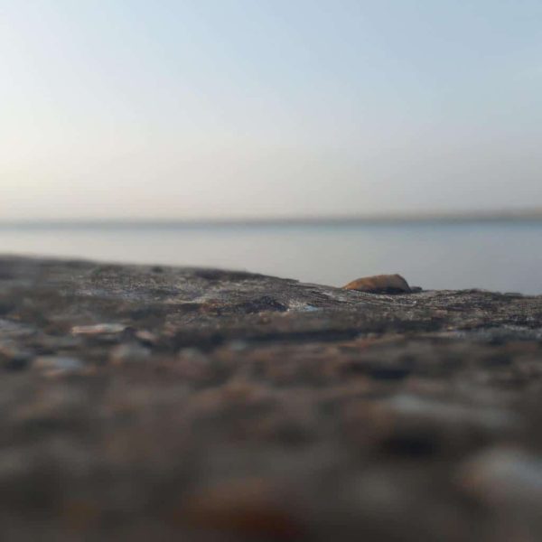 Ruyada Asi Oldugunu Gormek