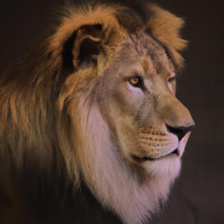 Ruyada Aslan