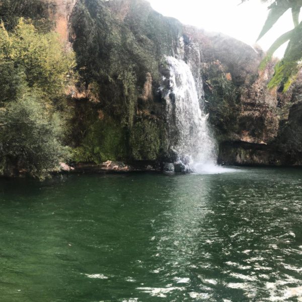 Ruyada At Arabasina Binmek