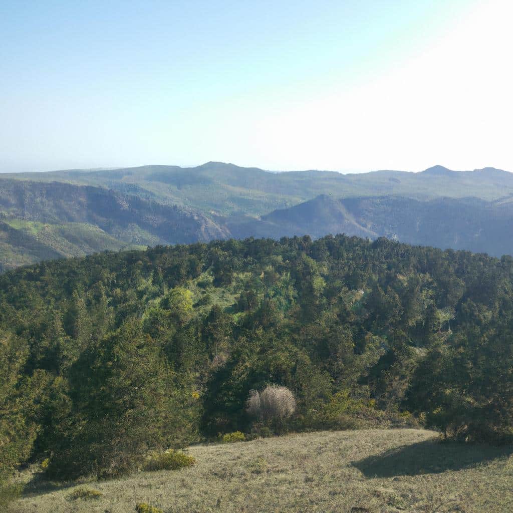 Ruyada At Surusu Gormek