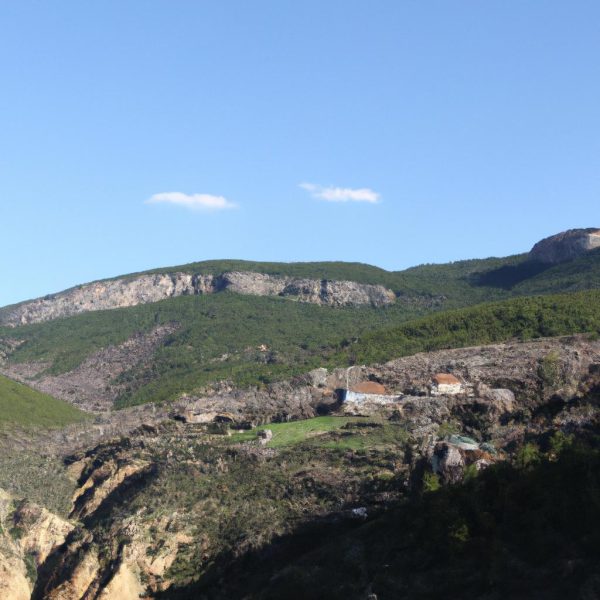 Ruyada Ayi Saldirisi Gormek