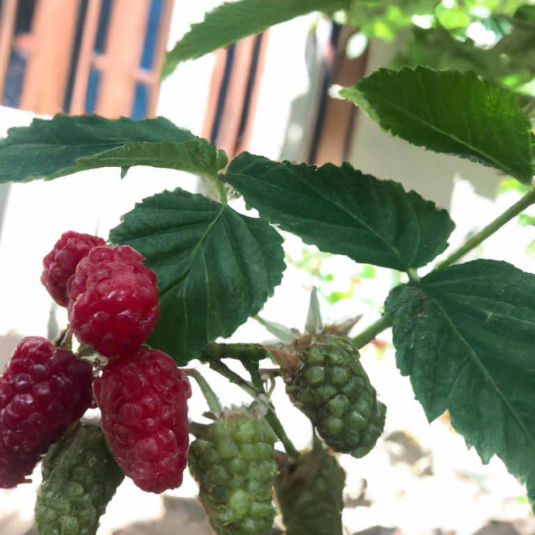 Ruyada Babamla Kavga Etmek