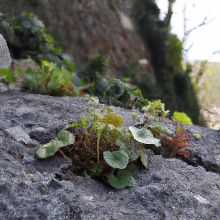 Ruyada Babayi Hasta Gormek