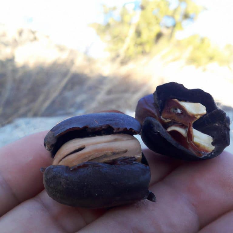 Ruyada Bacagindan Vurulmak