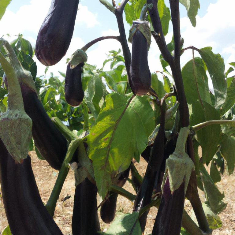 Ruyada Bacaklarda Kil Gormek